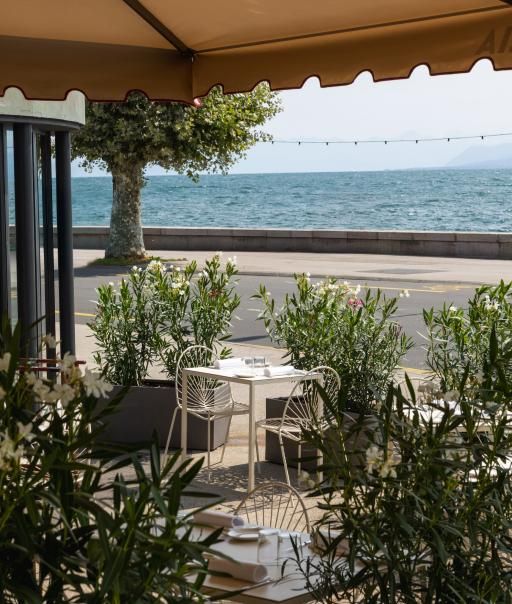 Maison du Lac - Terrasse